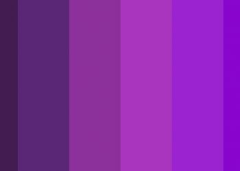 Macam Warna Ungu