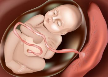 Hukum Menyimpan Tali Pusar Bayi dalam Islam