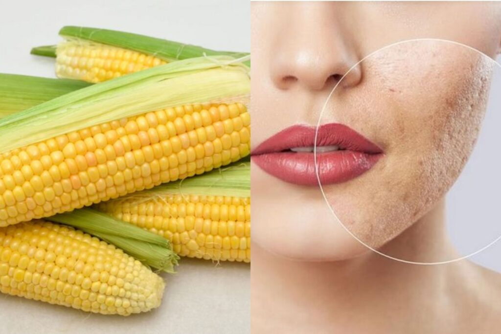 masker jagung