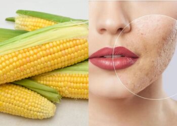 masker jagung