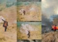 Kebakaran Bromo